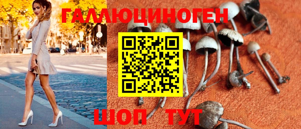 Октябрьский  Галлюциногенные грибы Psilocybine cubensis  Вход с VPN 