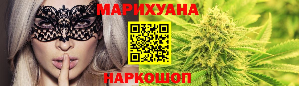 Конопля планчик Октябрьский